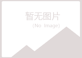 青岛四方白山批发有限公司